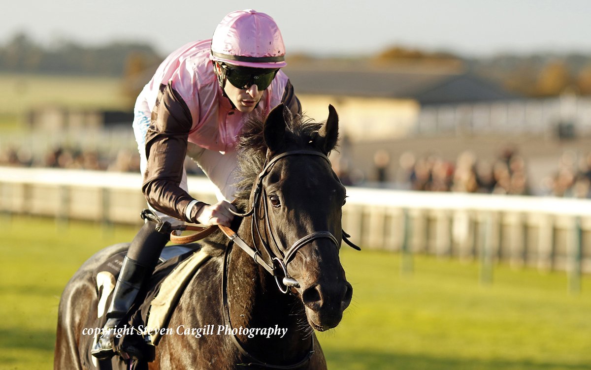 Steven Cargill (@steven_cargill) on Twitter photo Debut; colt I AM I SAID <a href="/RKingscote/">richard kingscote</a> wins 8f 2yo maiden <a href="/NewmarketRace/">Newmarket Racecourse</a> yesterday for <a href="/CambridgeStud/">Cambridge Stud</a> Almanzor <a href="/RalphBeckett/">Ralph Beckett</a> Debut; colt I AM I SAID <a href="/RKingscote/">richard kingscote</a> wins 8f 2yo maiden <a href="/NewmarketRace/">Newmarket Racecourse</a> yesterday for <a href="/CambridgeStud/">Cambridge Stud</a> Almanzor <a href="/RalphBeckett/">Ralph Beckett</a>