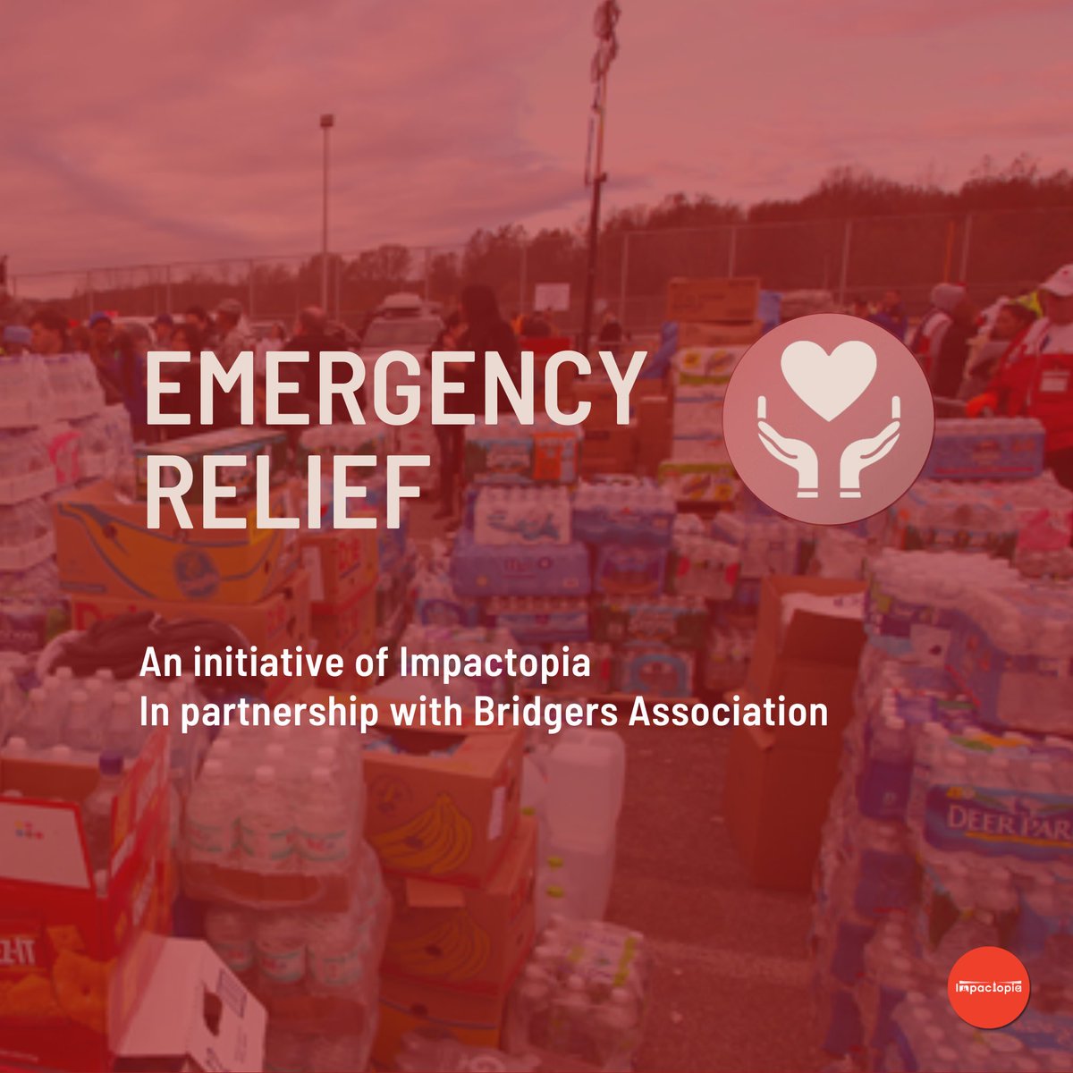 impactopia.net tweet media