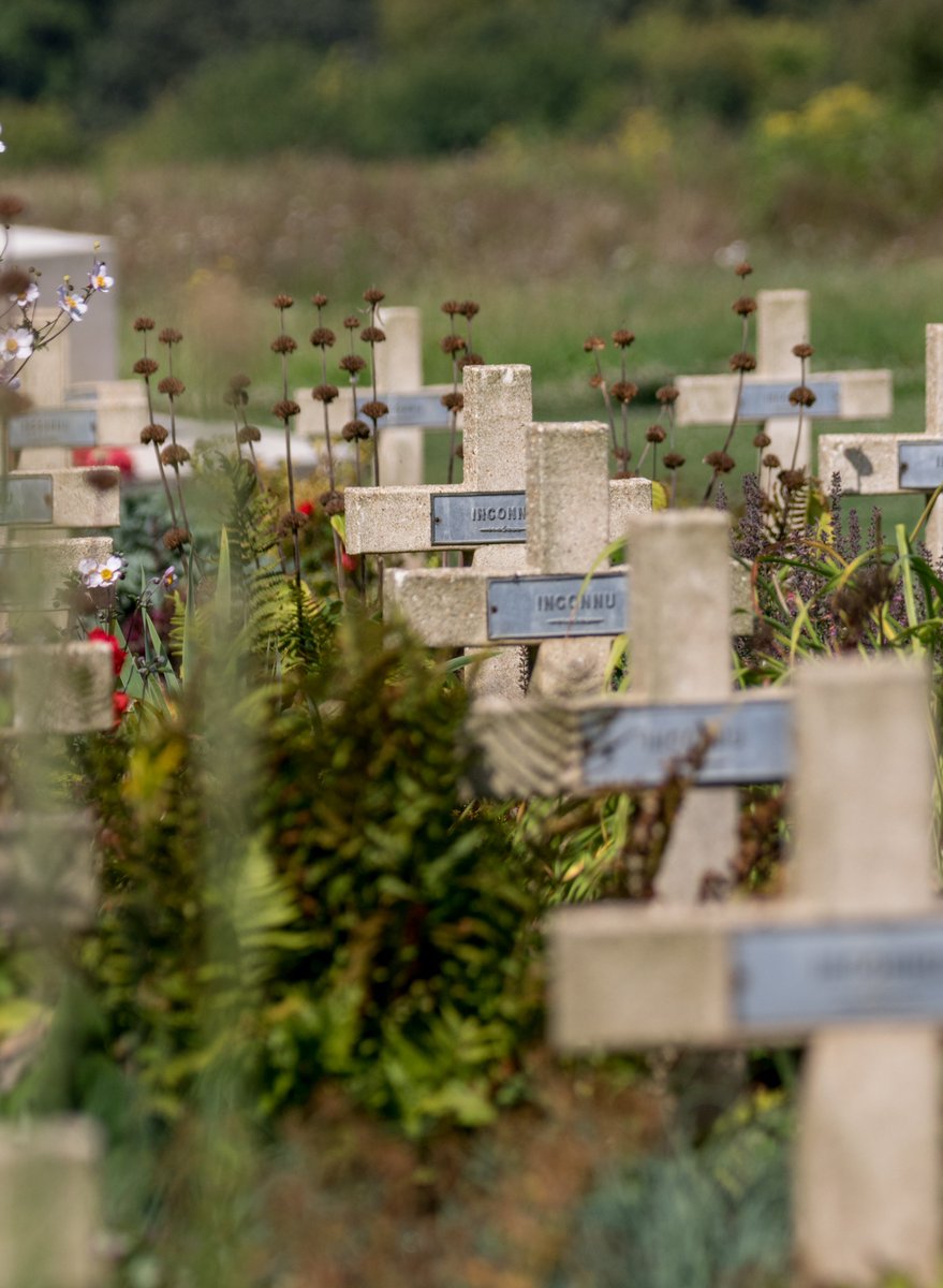 apoliticaleye's tweet photo. This evening I was fortunate enough to witness what was without doubt one of the most thought provoking and moving reminders of the significance to our nation of the journey of our #TheUnknownWarrior.
Presented by the wonderful @JohnNicholRAF
Remembering Private Joseph Fraser one of the missing 16 September 1916 High Wood, The Somme, brought home tonight.
Thank you John.