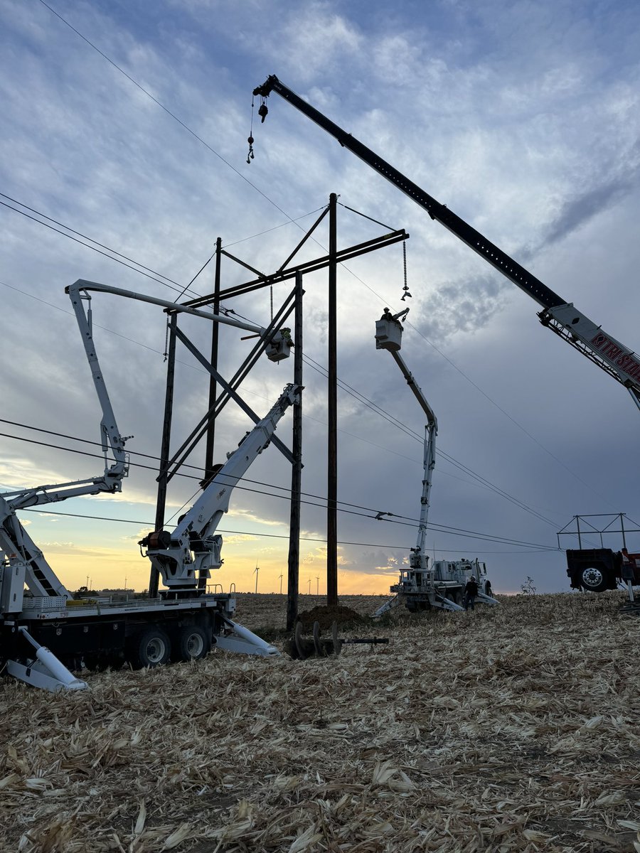 coldbusch's tweet image. Good day to have a day 🤙