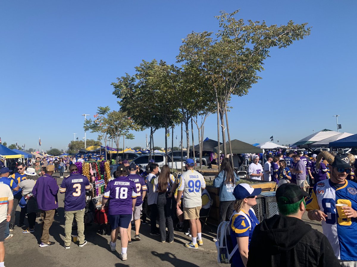 Lotta Purp #PurpleReign