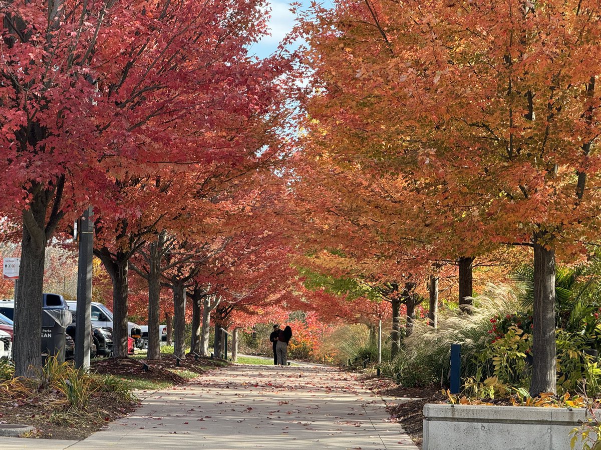 Jodi Robillos tweet media