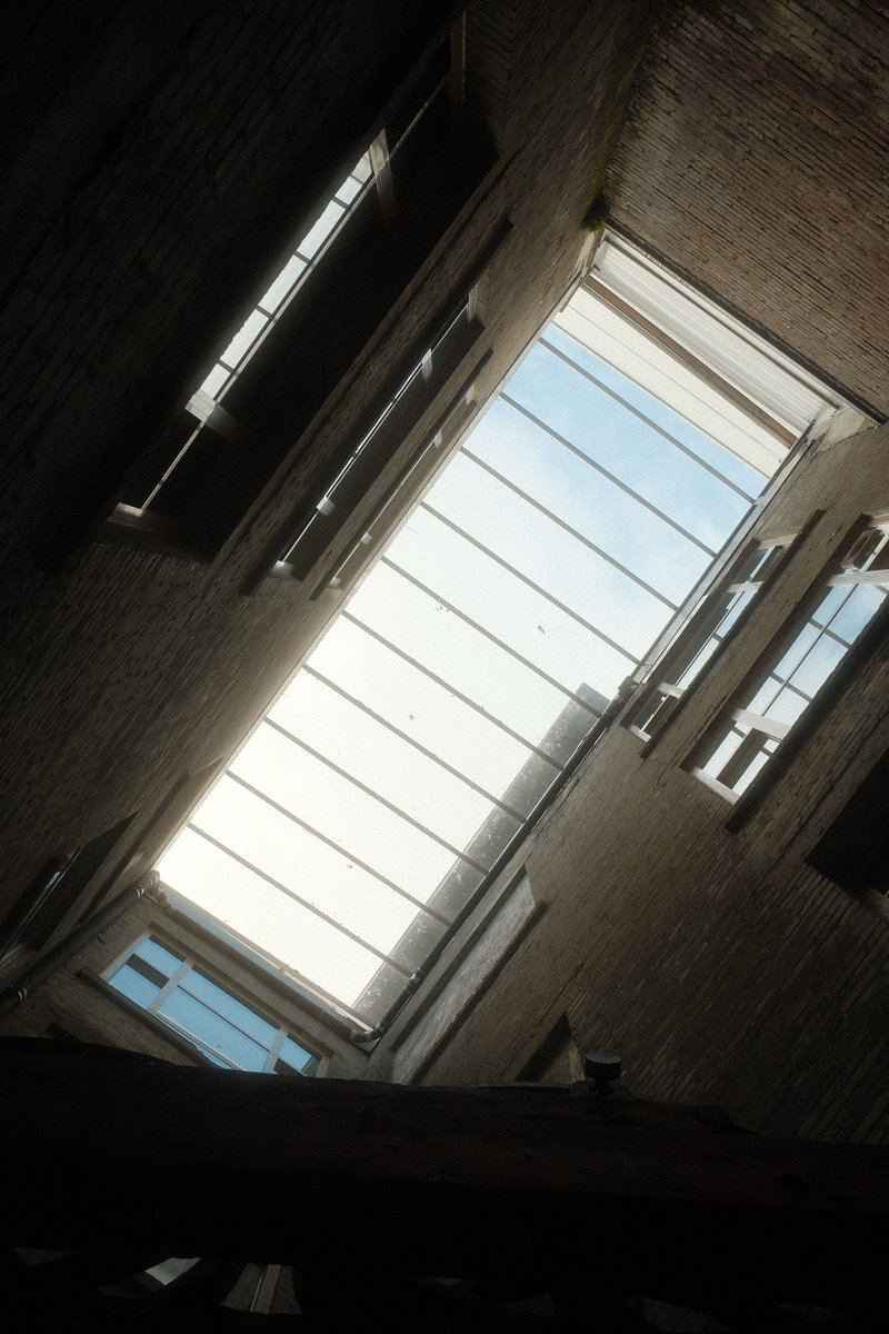 Kevin ⨀ tweet media