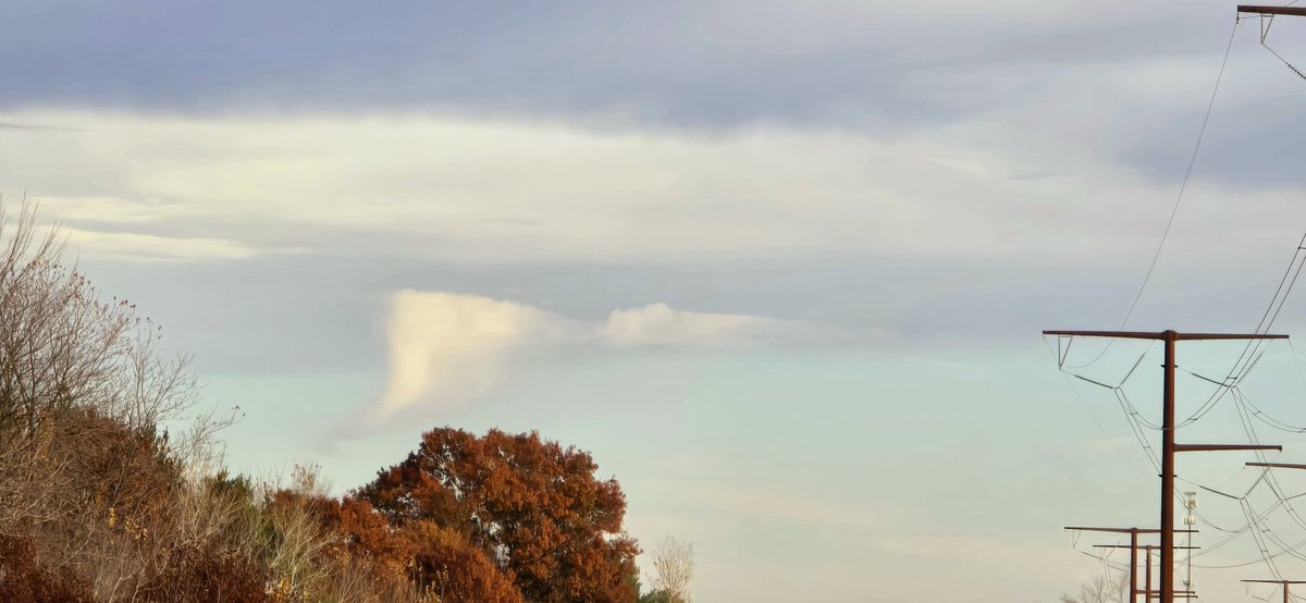 Michael A. Crowley tweet media