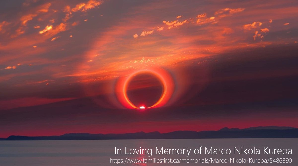 Hossein Fani (he/him) tweet media