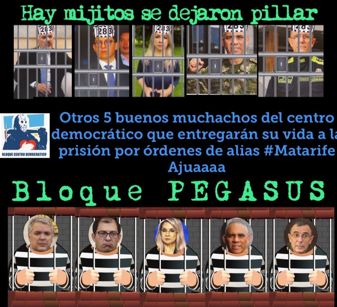 El Ave Renaciente tweet media