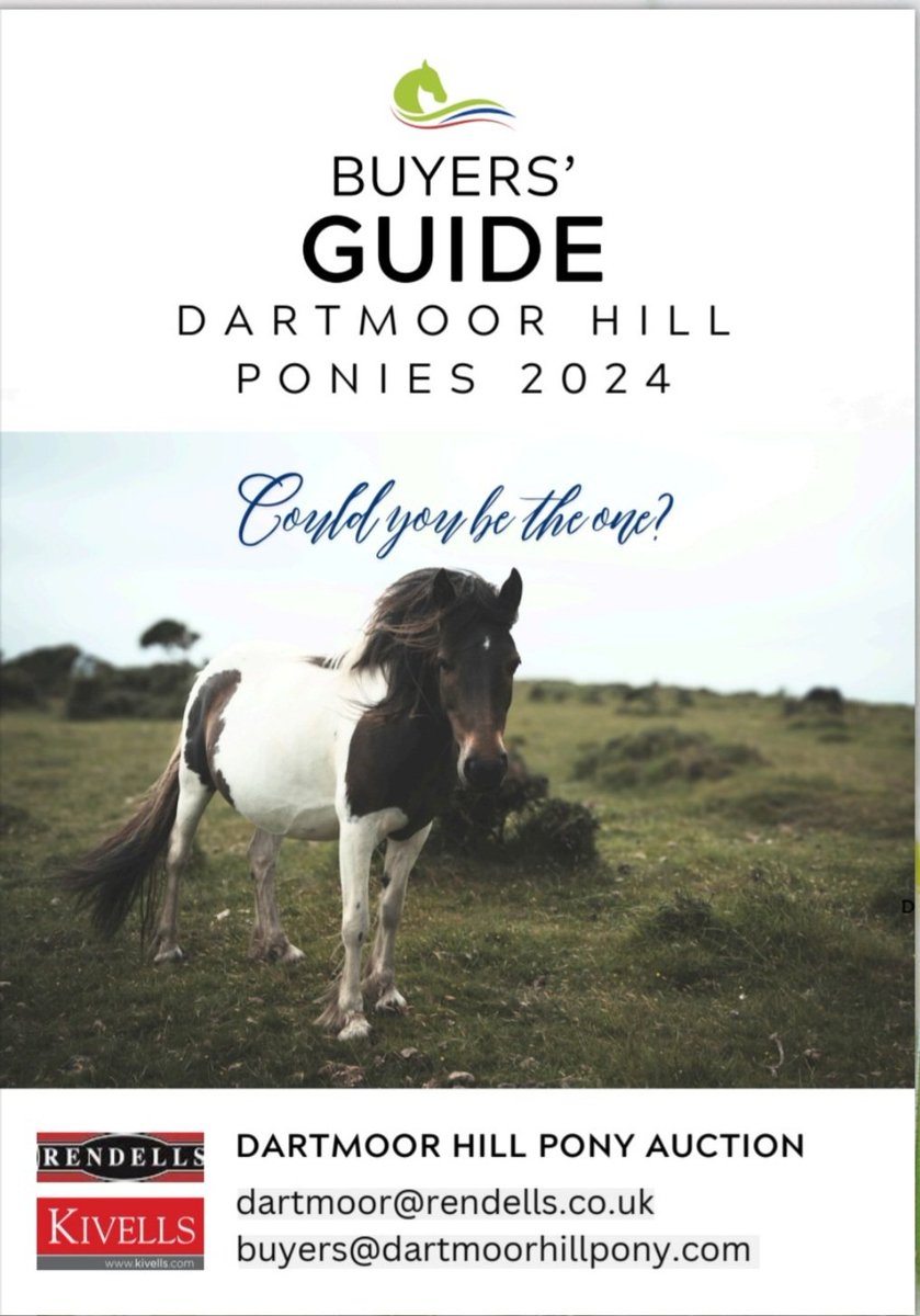 Dartmoor Hill Pony Assoc tweet media