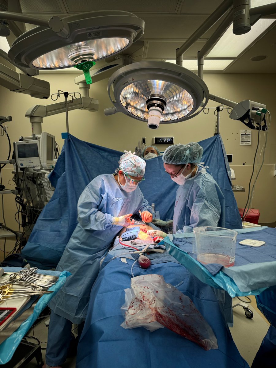 kritimittalmd's tweet photo. Have the courage to follow your heart and intuition. They somehow know what
you truly want to become. 😌

#SurgicalNinja #chiefyear #cardiacsurgeon #surgeryresident #surgery #generalsurgery #teacher #cardiacsurgery #surgerylife #surgeon #learner #generalsurgeryresident #scrublife #lifeofaresident #hospital #patientcare #education #teaching #growth #team #family #friends