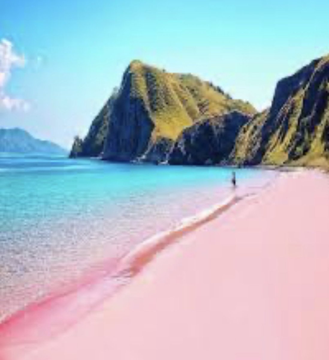 fotogal66's tweet photo. Bucket list.  Pantai Merah, Indonesia.  One of only 7 pink beaches in the world https://t.co/J2obVVT9Kb
