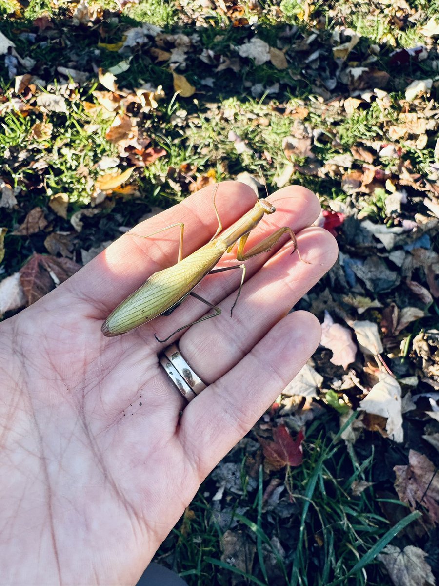 Anita Baudoux tweet media