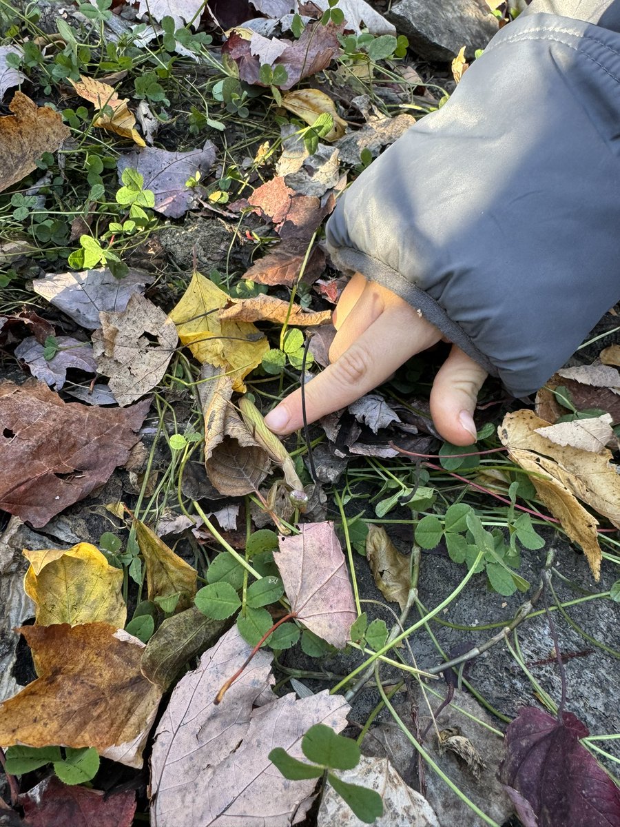 Anita Baudoux tweet media