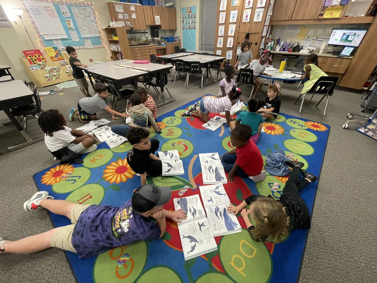 Amna Syed tweet media