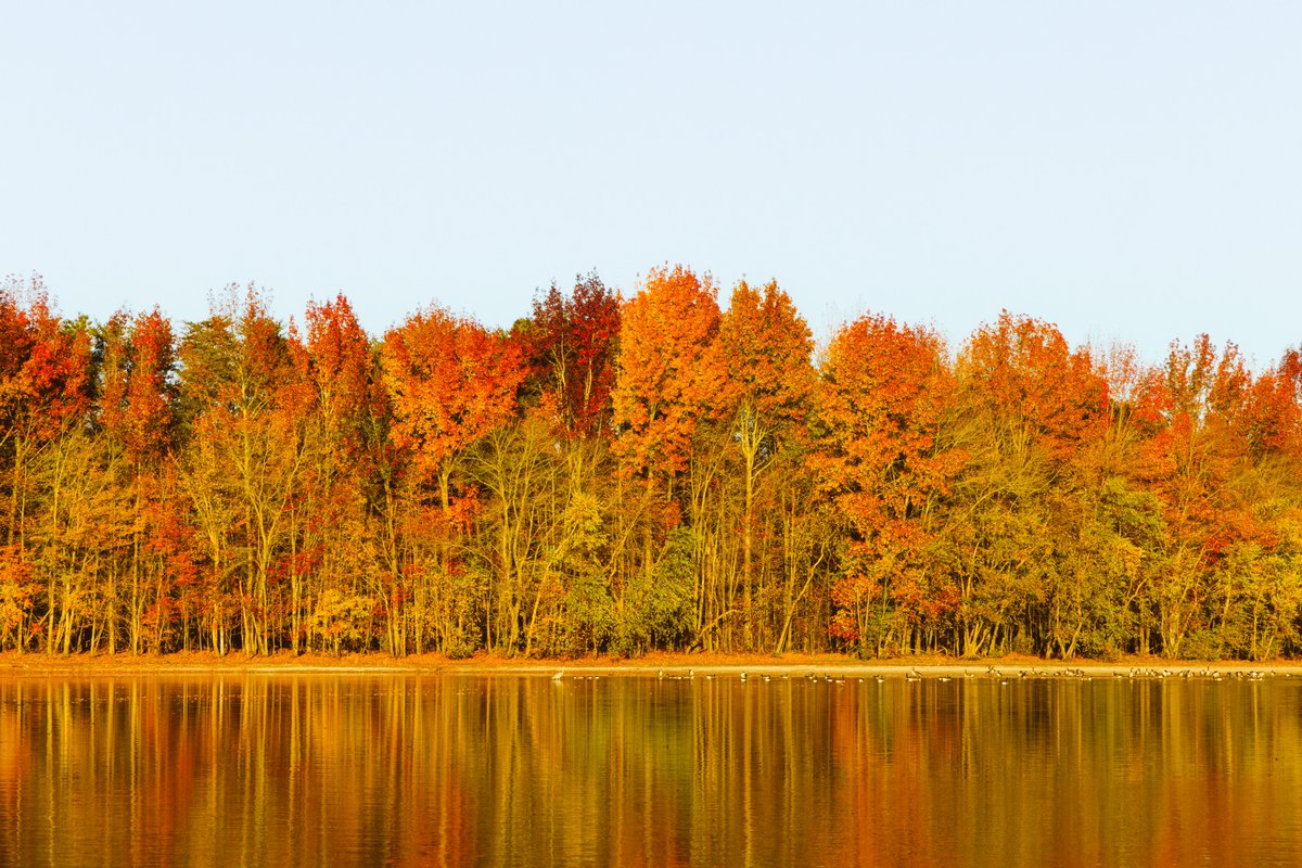 NewJerseyDEP's tweet photo. Reflecting on fall in the Garden State 📸🍂
Tomorrow is #FoliageFriday, don't miss another statewide fall foliage report!
#NewJersey #FallForNJ https://t.co/bTjw3Jsj5Z