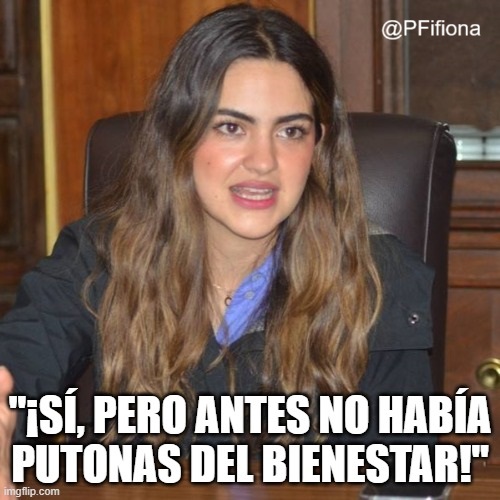 PFifiona's tweet image. Hice un meme...