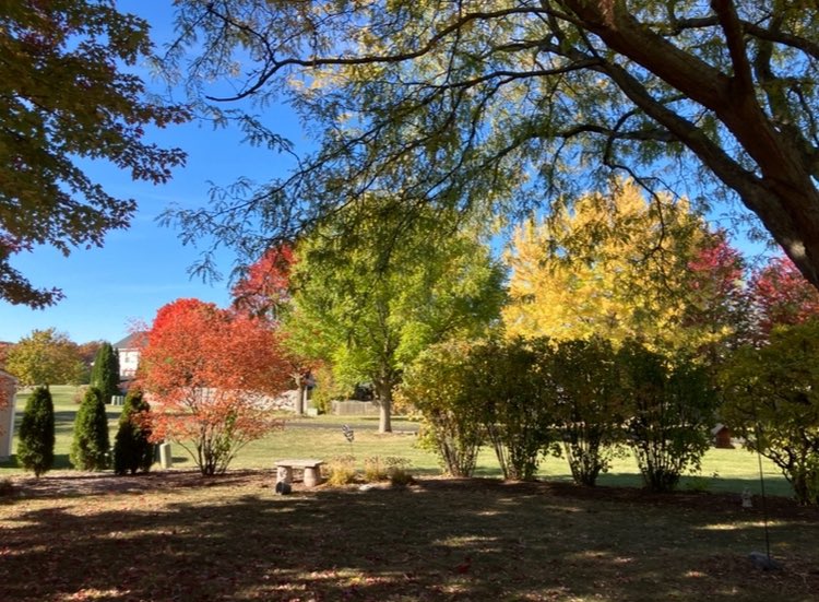 Stan Gorbatkin tweet media