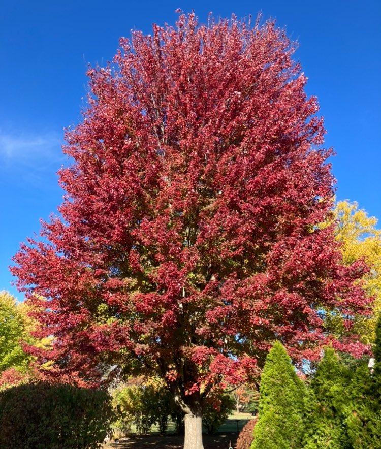 Stan Gorbatkin tweet media