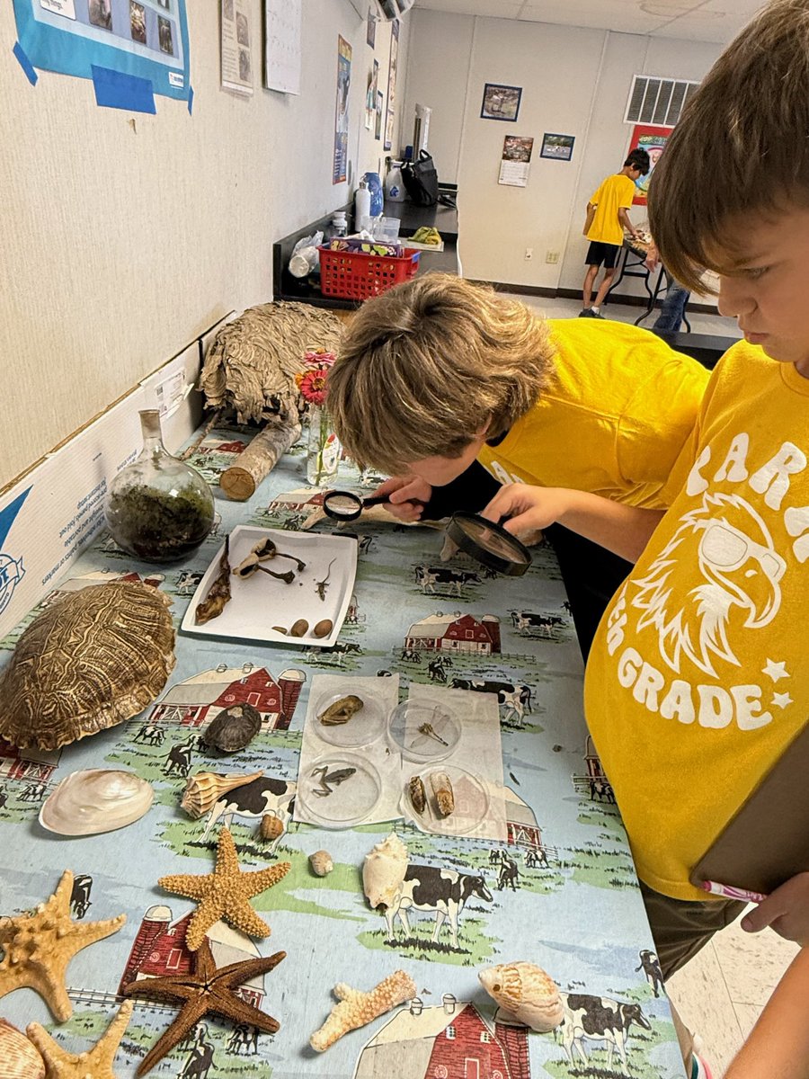Trish Hornsby (Carroll-Falknor) (@taawesomesauce) on Twitter photo 4th grade had a beautiful day and a great time in The Longhorn Project at NASA/Johnson Space Center. <a href="/ParrPatriots/">Parr Elementary</a> 4th grade had a beautiful day and a great time in The Longhorn Project at NASA/Johnson Space Center. <a href="/ParrPatriots/">Parr Elementary</a>
