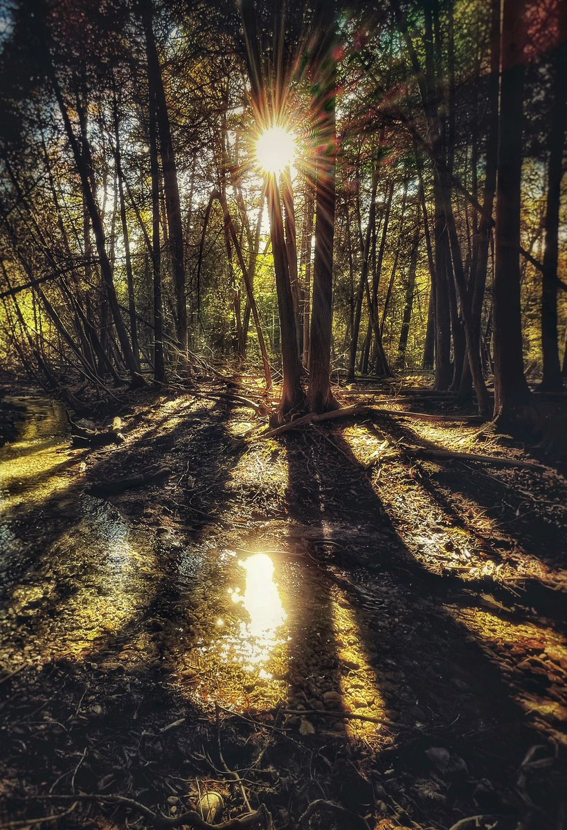 Now is the time to wander and be lost for a while 🍂