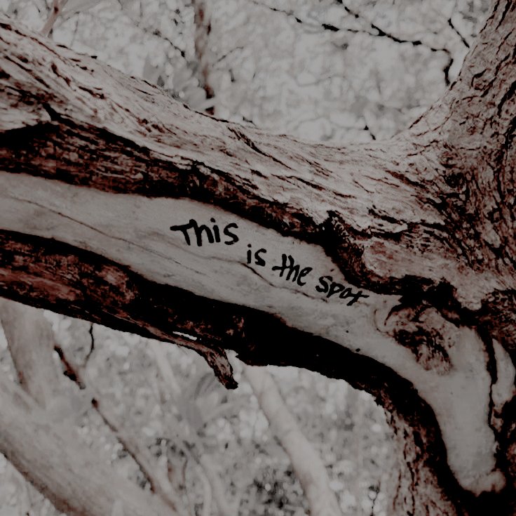 𝐚𝐫𝐢𝐚𝐝𝐧𝐞 tweet media