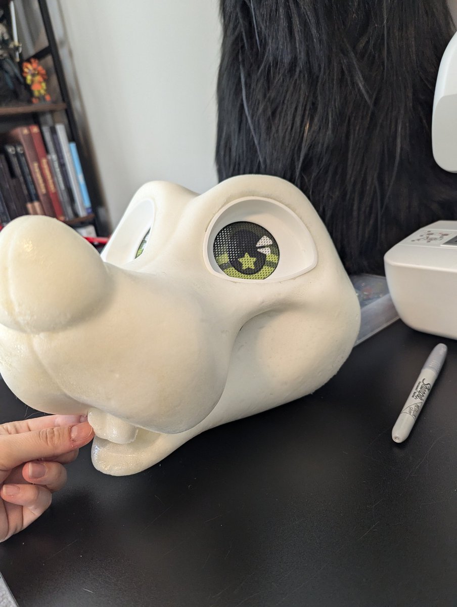 Mouse start!!!

#furry #fursuit