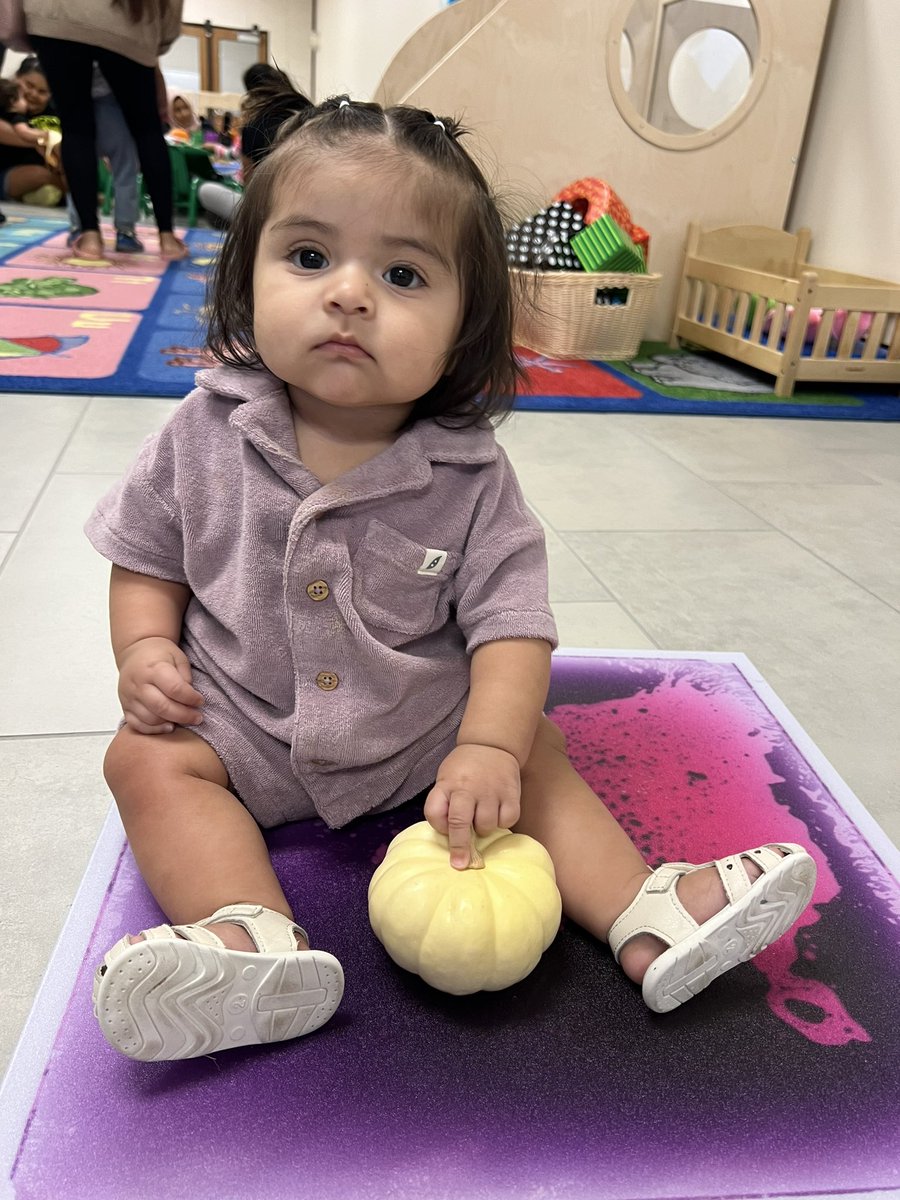 ProjectLEARN3's tweet image. Thank you, @TheGeorgeRanch for providing our @LamarCISD multilingual families with pumpkins to explore at our Play and LEARN hands on stations today! @justwrite4u2 @PFETexas @ZEROTOTHREE