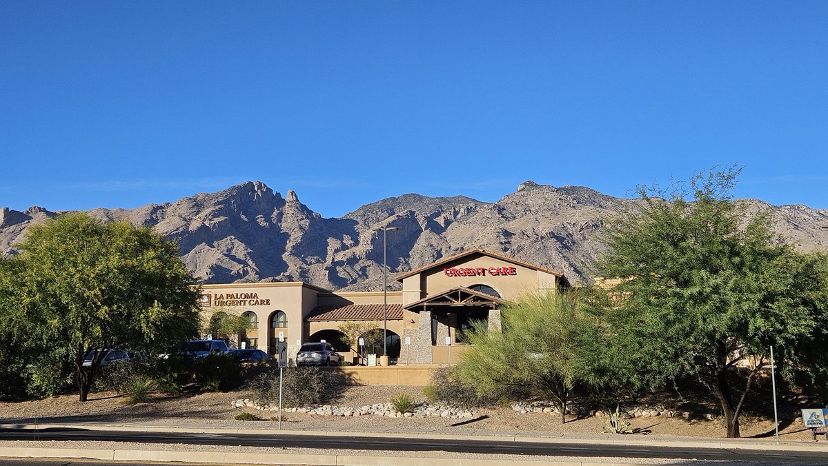 drosophilosophy's tweet photo. the two things i need on this run: gorgeous mountain vistas and an urgent care. #arizonarunner #fuckitshot https://t.co/6fAbKqjajU