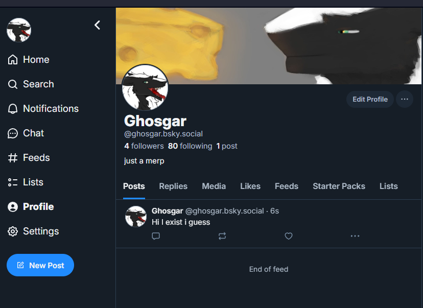 Ghosgar Zephyr tweet media