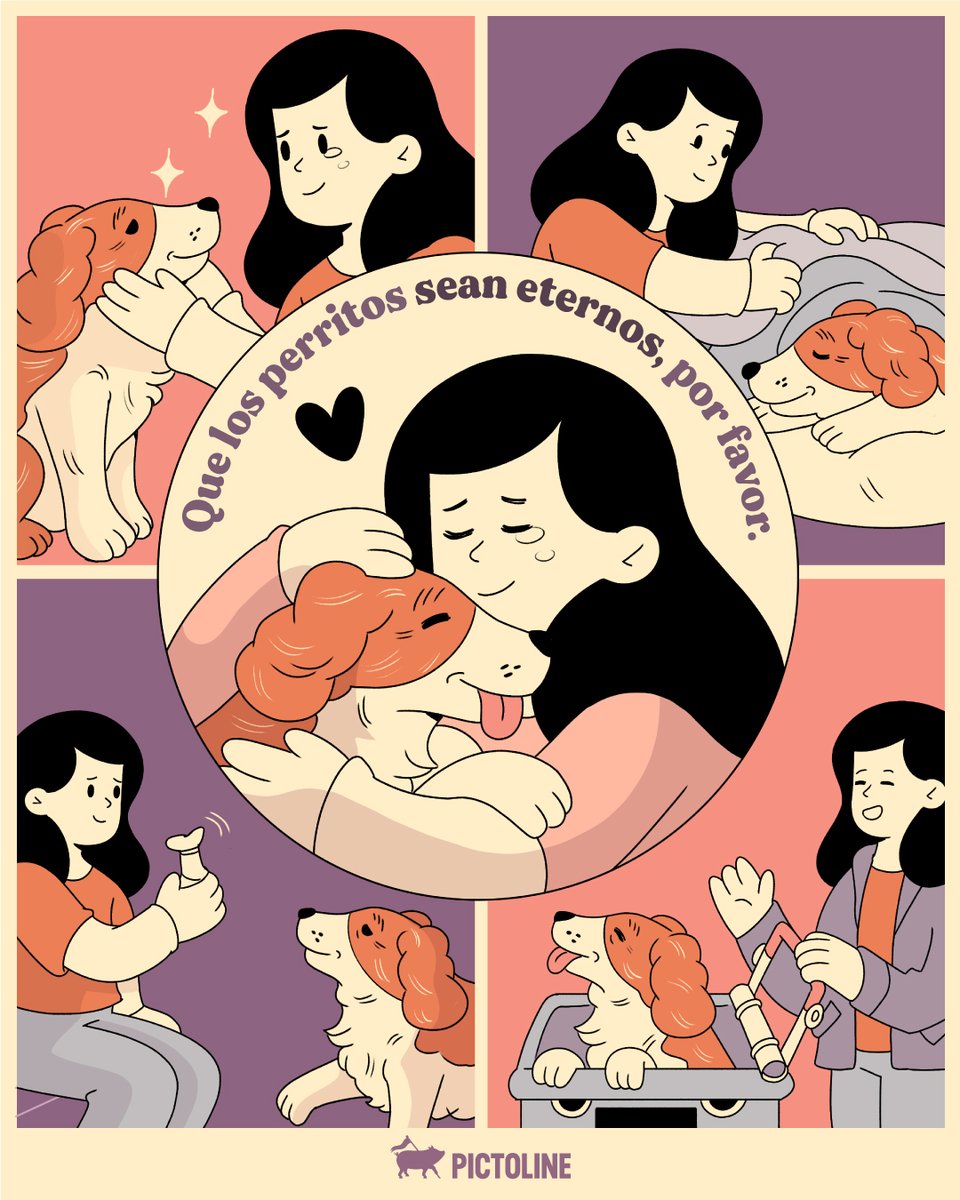 pictoline tweet media