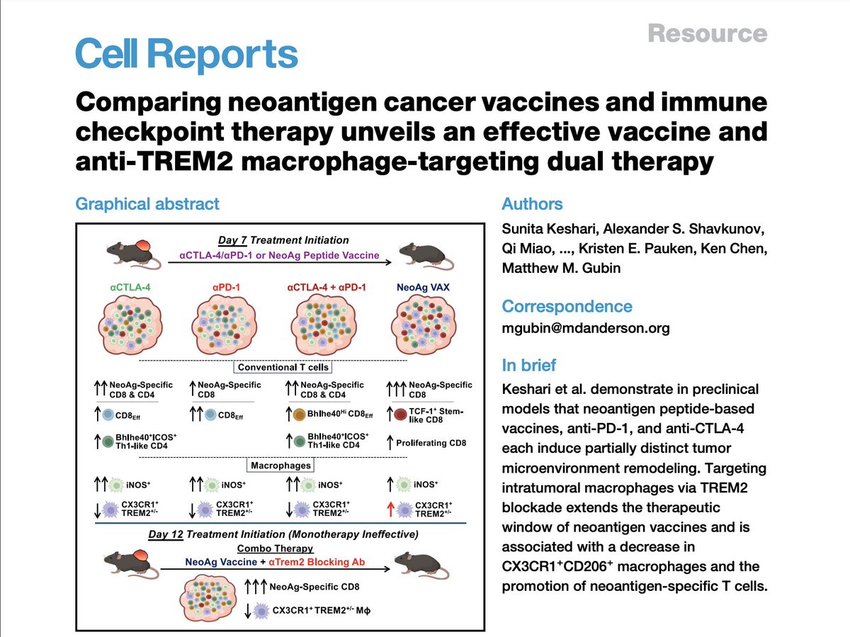 Sunita Keshari, Ph.D. (@kesharisunita) on Twitter photo šØ New discovery alert! šØ Our Cell Reports study shows how neoantigen vaccines and ICTs reshape the TME. Blocking TREM2 boosts vaccine impact and anti-tumor response. Thanks to my mentor <a href="/GubinMatthew/">Matthew Gubin</a> & congrats to all coauthors! <a href="/MDAndersonNews/">MD Anderson Cancer Center</a> cell.com/cell-reports/f⦠šØ New discovery alert! šØ Our Cell Reports study shows how neoantigen vaccines and ICTs reshape the TME. Blocking TREM2 boosts vaccine impact and anti-tumor response. Thanks to my mentor <a href="/GubinMatthew/">Matthew Gubin</a> & congrats to all coauthors! <a href="/MDAndersonNews/">MD Anderson Cancer Center</a> cell.com/cell-reports/fā¦