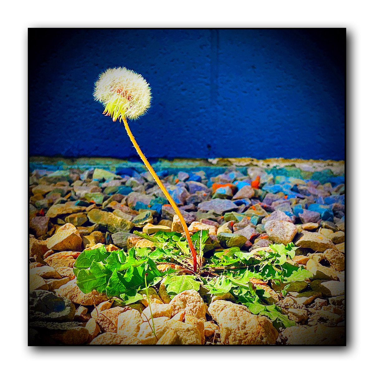 Javier (@utweedwhisperer) on Twitter photo 