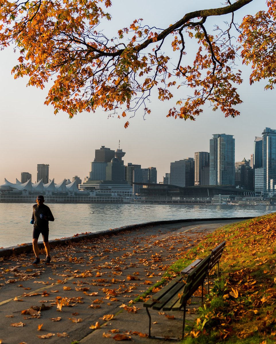 No hay mejor sensación que correr por el malecón de Vancouver en otoño. 🍂🏃🏻‍♀️ Con el aire fresco, las hojas caídas y las vistas al océano y las montañas, cada paso se siente lleno de energía y calma.
📸: @sonikaarora604