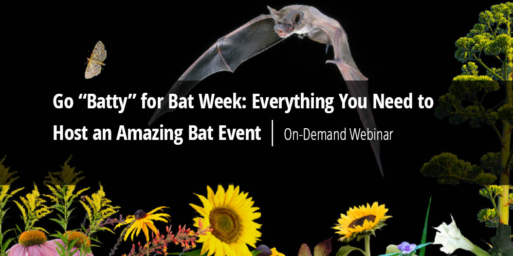 Tandem Global (formerly WHC and WEC) (@tandemglobalorg) on Twitter photo 🦇#BATWEEK 🦇starts today and it's not too late to join the festivities! View our #BatWeek2024 #freewebinar on-demand to find out what you can do to celebrate #bats. bit.ly/3Uo7S0t 🦇#BATWEEK 🦇starts today and it's not too late to join the festivities! View our #BatWeek2024 #freewebinar on-demand to find out what you can do to celebrate #bats. bit.ly/3Uo7S0t