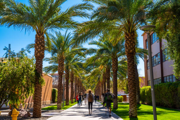 SarahJTracy's tweet image. Job Alert!! The ASU @asuhdshc is partnering with our School of Transborder Studies for a tenured associate professor in "health communication at the borders". Please share widely! More information on how to apply is available via the link below. apply.interfolio.com/156975