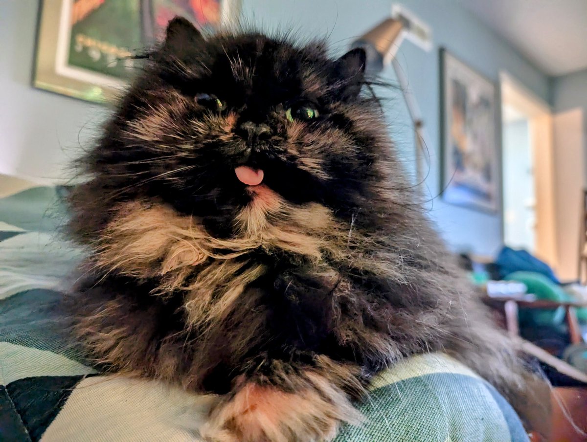 Ryan Murphy tweet media