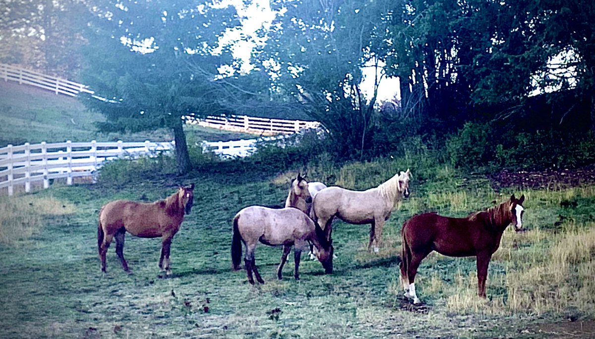 Change is in the air! Even the young uns are feeling it!