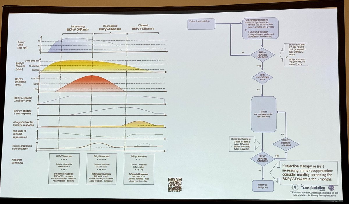 amitmahapatra's tweet photo. Novel Tools and Therapies in Management and Surveillance of BK Virus by Hans Hirsch at #KidneyWk @ASNKidney @ISNkidneycare Dt 24.10.2024 5 PM https://t.co/ObMI8CqnX7