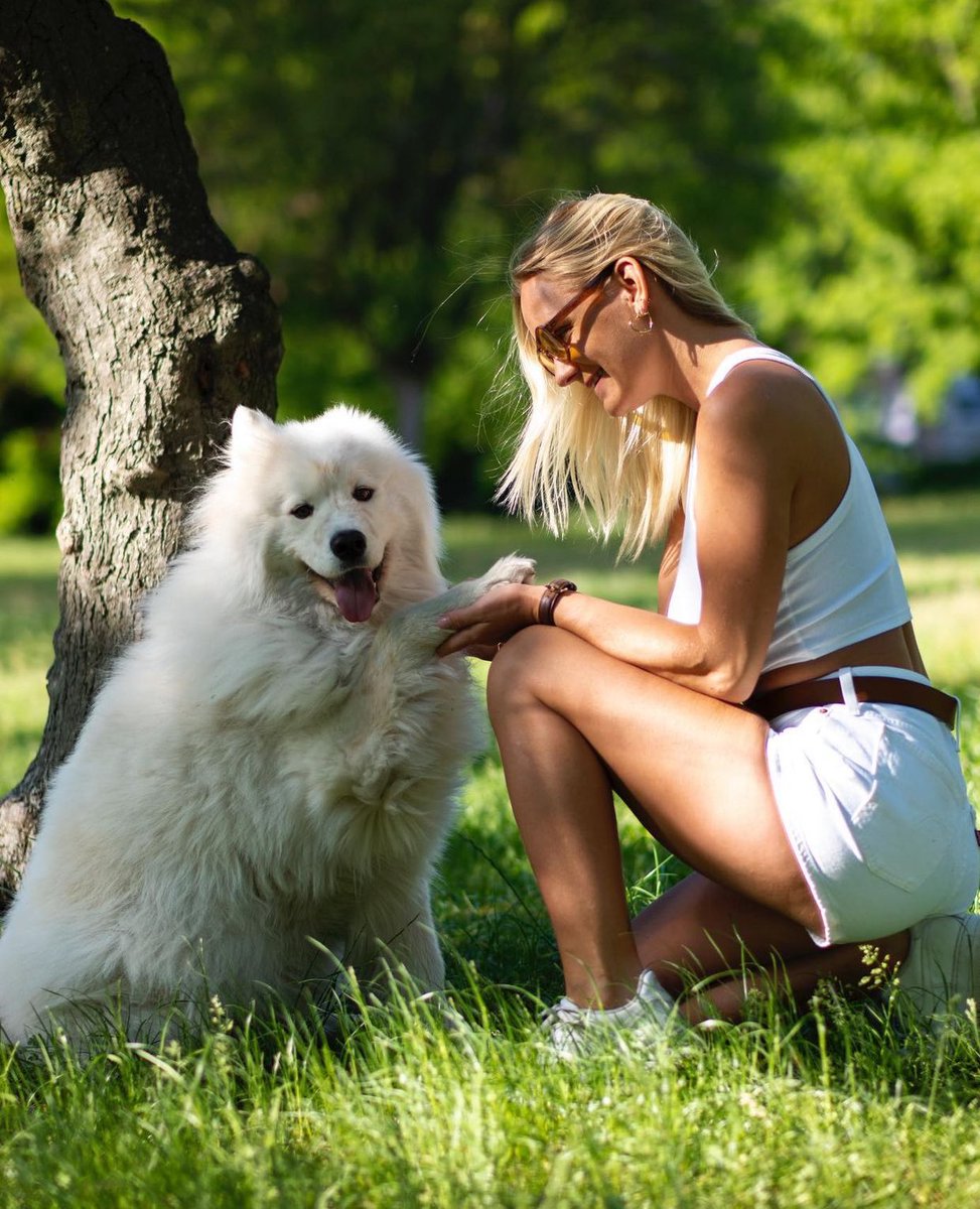 sofiawyb's tweet image. Welche Rasse hattest du? Ich verspreche, mit meiner vorbeizukommen 💦💦💦🦮