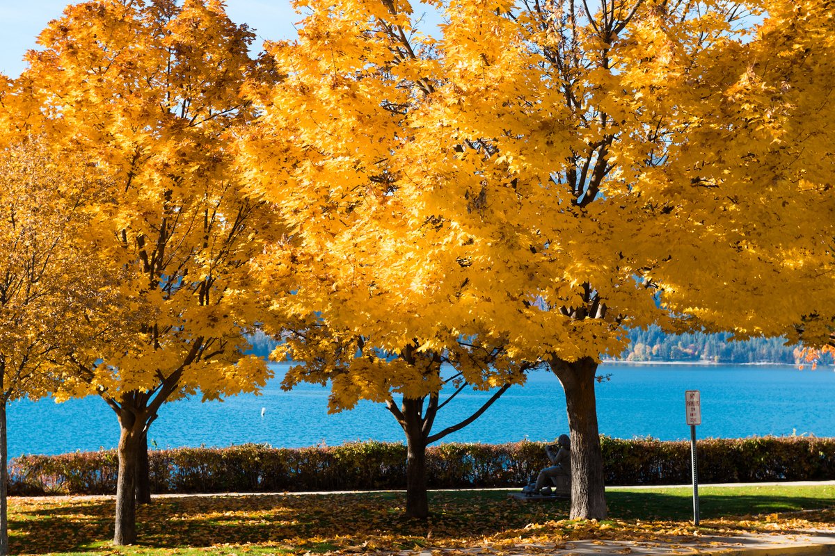 What is it about orange and blue that just works??