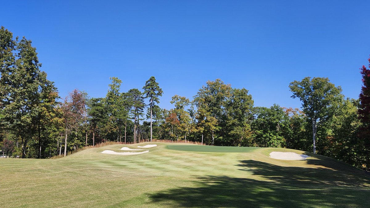 standardkev's tweet image. Getting some sod down on some dusty areas to keep the dust down on my new favorite hole at the dusty #TheLegacyCourse.