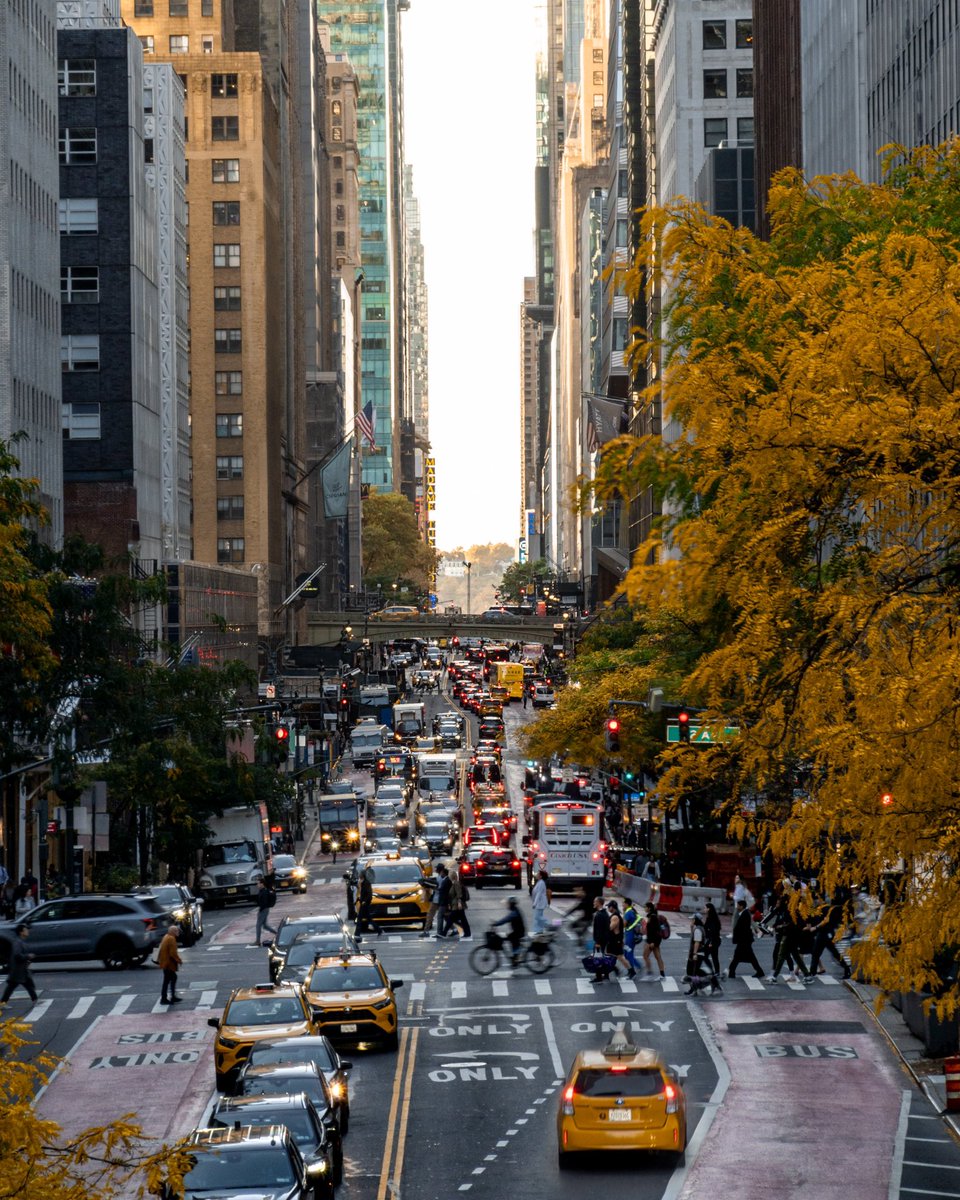 StevenLarson's tweet photo. 2 months in living here and I do love this city #newyork https://t.co/JDtgMMqw3n