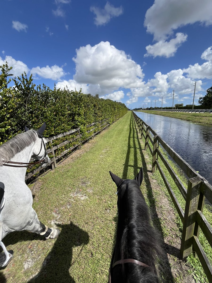 uneventful eventer tweet media