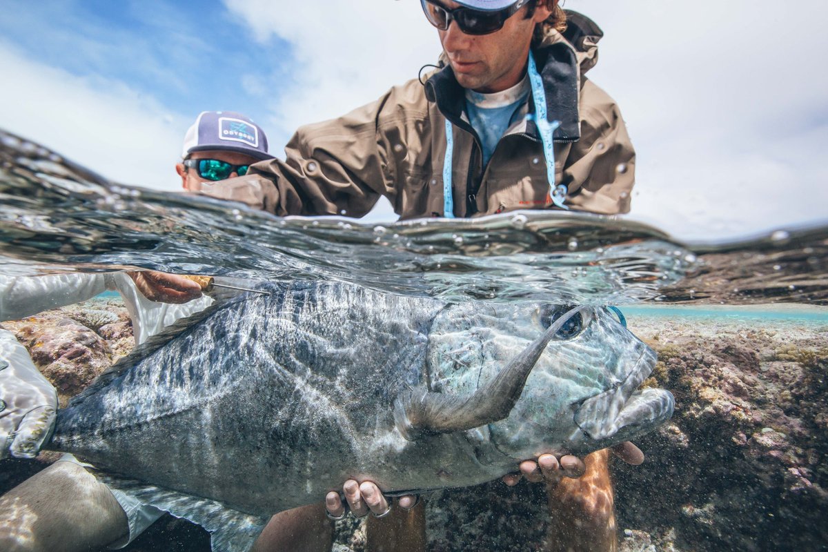 Indifly_'s tweet photo. Taking measurements, tagging, and more. Collecting data at our project locations helps scientists make data-informed conservation recommendations to help support fish and ecosystems.

Ph: Joshua Hutchins
#flyfishing #flyfish #indifly #indiflycorps https://t.co/OZB4cVmnvf