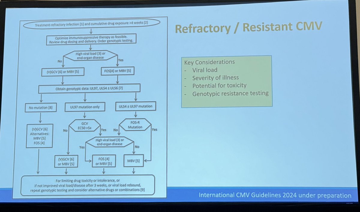 amitmahapatra's tweet photo. New diagnostics and drugs in cytomegalo virus management by Deepali Kumar #KidneyWk @ASNKidney @ISNkidneycare Dt 24.10.2024 5:00 PM
Talks about new guideline for resistant / refractory CMV infection too https://t.co/farn7MsA5V
