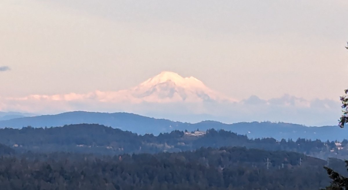 Mt. Baker looking great in the late day sun. 😎