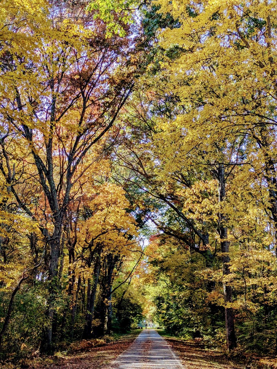 Shriram Krishnamurthi (primary: Bluesky) tweet media