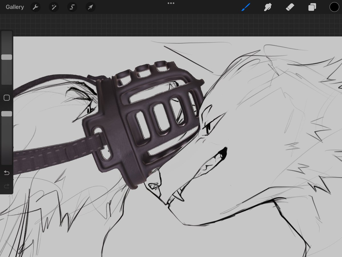 Day 74 Muzzle