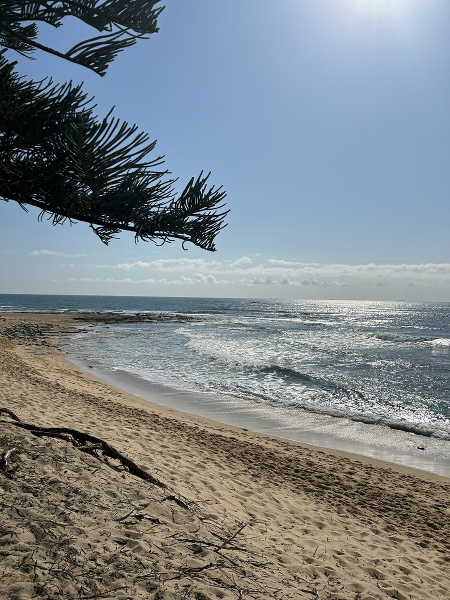 Downloading Light tweet media