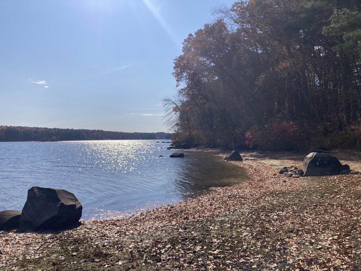 Terry Gray tweet media