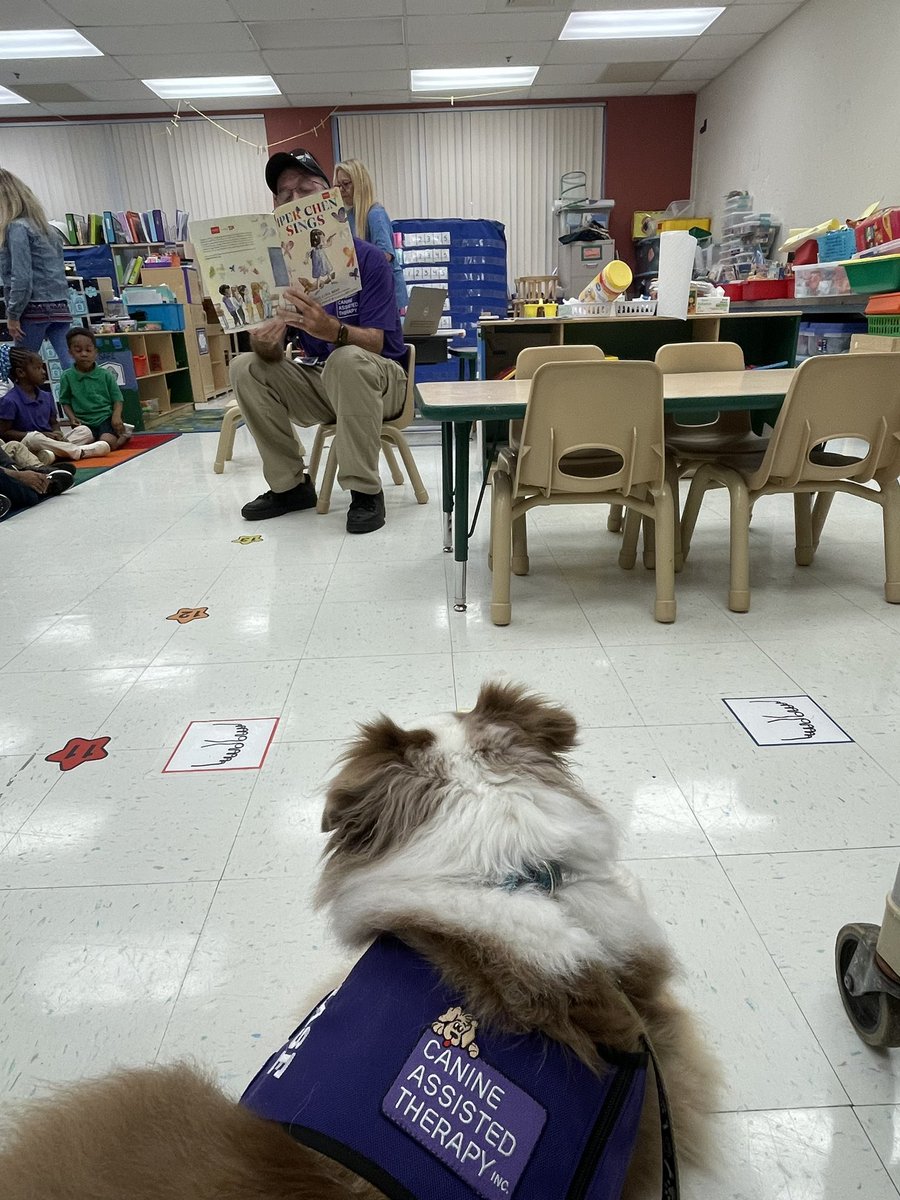 smspalmbeach's tweet photo. Chase the therapy dog had a great time at “Read for the Record” at Crosspointe Elementary today. 
#chase #chasethetherapydog #miniaussie https://t.co/JMTSryVrLH