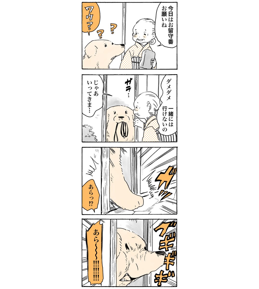 久々のおはワンです〜🐾

#姫ばあちゃんとナイト 